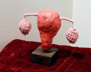 Sculpture of an anotomically correct uterus made of mixed media